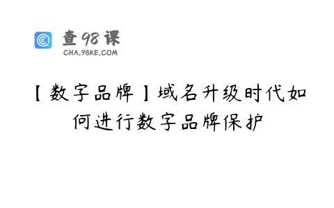 【数字品牌】域名升级时代如何进行数字品牌保护