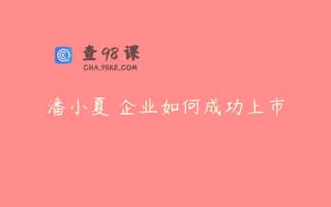 潘小夏 企业如何成功上市
