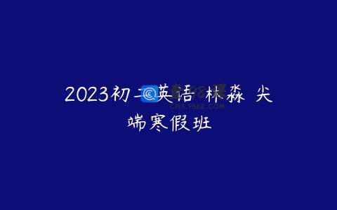 2023初二英语 林淼 尖端寒假班