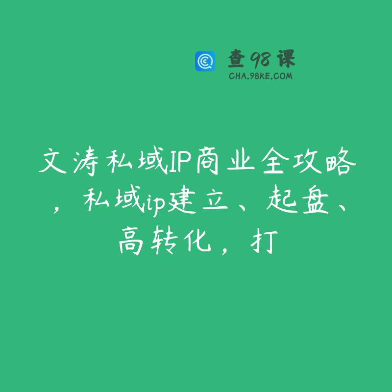 文涛私域IP商业全攻略，私域ip建立、起盘、高转化，打