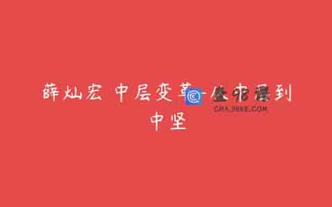 薛灿宏 中层变革-从中层到中坚
