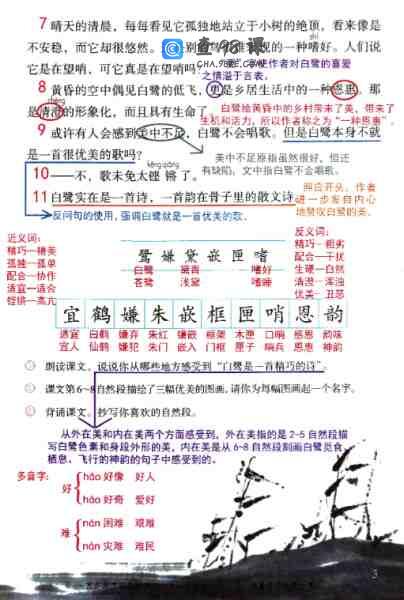 抖音超火语文课堂笔记PDF格式