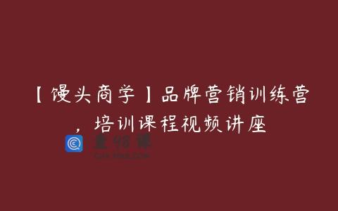 【馒头商学】品牌营销训练营，培训课程视频讲座
