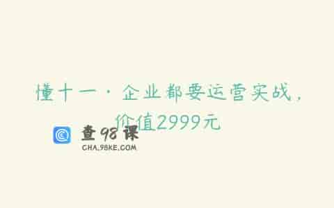 懂十一·企业都要运营实战，价值2999元