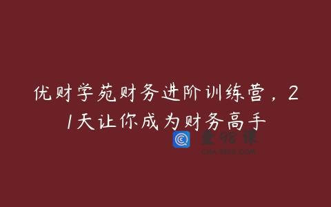 优财学苑财务进阶训练营，21天让你成为财务高手