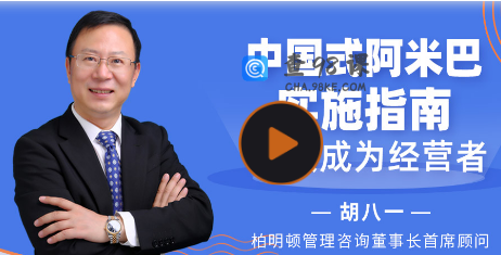 中国式阿米巴实施指南（完结）