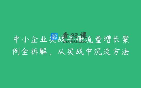 中小企业实战手册流量增长案例全拆解，从实战中沉淀方法