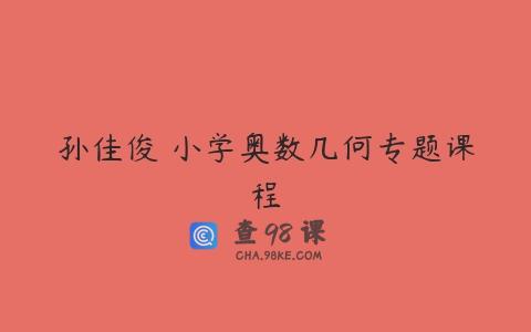 孙佳俊 小学奥数几何专题课程