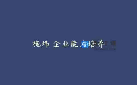 施炜 企业能力培养