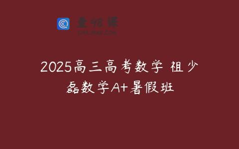 2025高三高考数学 祖少磊数学A+暑假班