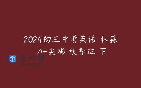 2024初三中考英语 林淼 A+尖端 秋季班 下