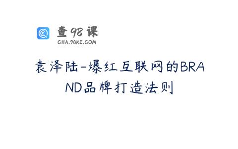 袁泽陆-爆红互联网的BRAND品牌打造法则