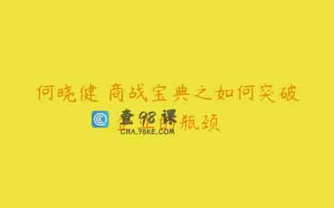 何晓健 商战宝典之如何突破企业的瓶颈