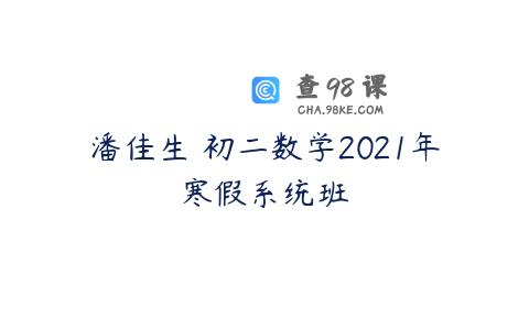 潘佳生 初二数学2021年寒假系统班