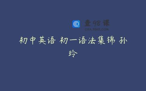 初中英语 初一语法集锦 孙玲