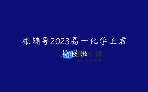 猿辅导2023高一化学王君暑假班