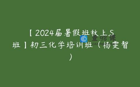 【2024届暑假班秋上.S班】初三化学培训班（杨雯智）