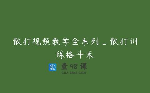 散打视频教学全系列_散打训练格斗术