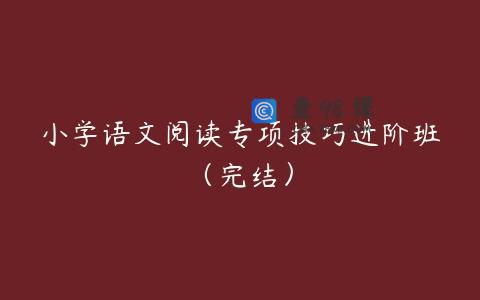 小学语文阅读专项技巧进阶班（完结）