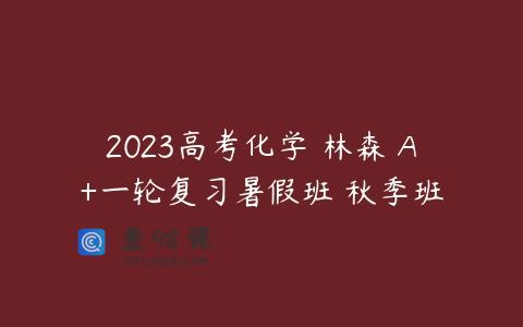 2023高考化学 林森 A+一轮复习暑假班 秋季班
