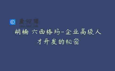 胡楠 六西格玛-企业高级人才开发的秘密