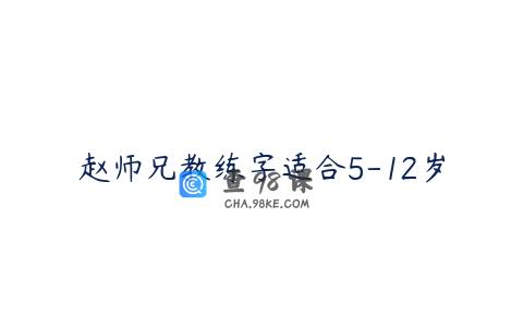 赵师兄教练字适合5-12岁