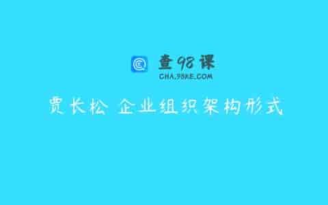贾长松 企业组织架构形式