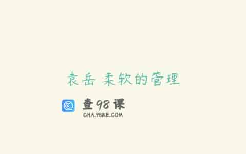 袁岳 柔软的管理