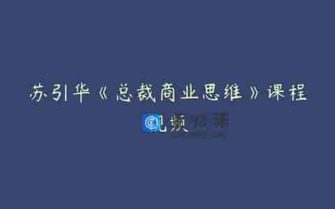 苏引华《总裁商业思维》课程视频