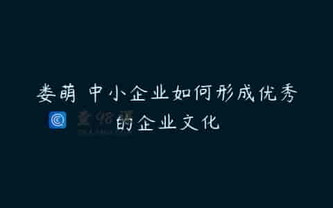 娄萌 中小企业如何形成优秀的企业文化