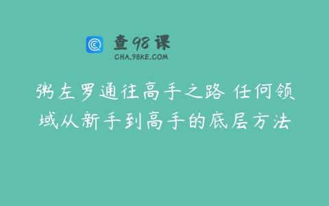 粥左罗通往高手之路•任何领域从新手到高手的底层方法
