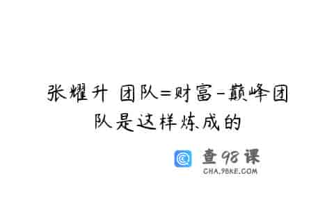 张耀升 团队=财富-巅峰团队是这样炼成的