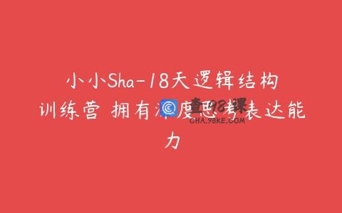 小小Sha-18天逻辑结构训练营 拥有深度思考表达能力