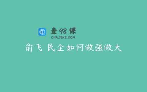 俞飞 民企如何做强做大