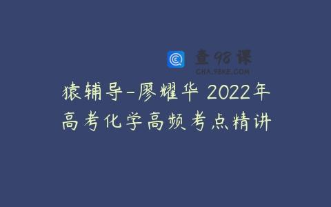 猿辅导-廖耀华 2022年高考化学高频考点精讲