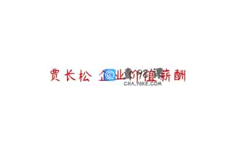 贾长松 企业价值薪酬