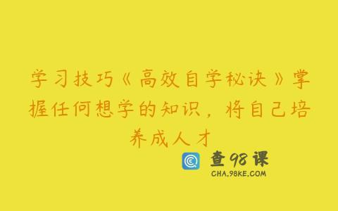 学习技巧《高效自学秘诀》掌握任何想学的知识，将自己培养成人才