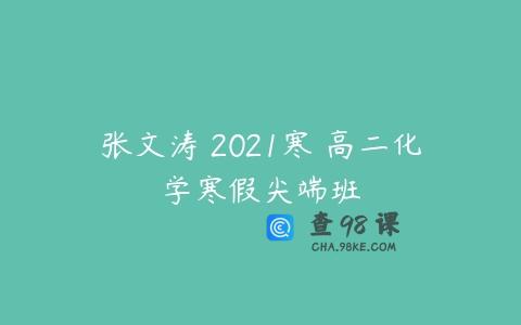 张文涛 2021寒 高二化学寒假尖端班