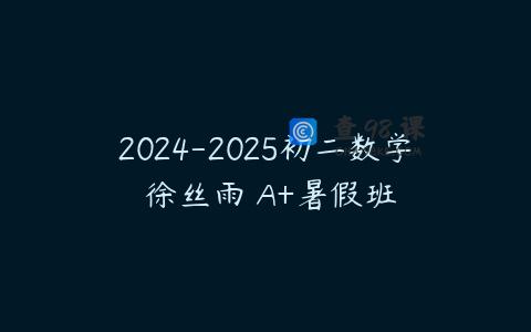 2024-2025初二数学 徐丝雨 A+暑假班