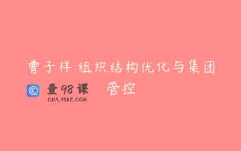 曹子祥 组织结构优化与集团管控
