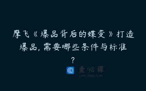 摩飞《爆品背后的蝶变》打造爆品, 需要哪些条件与标准?
