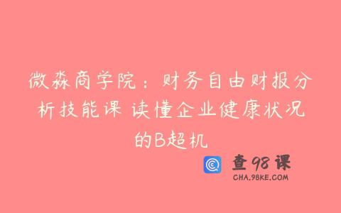微淼商学院：财务自由财报分析技能课 读懂企业健康状况的B超机