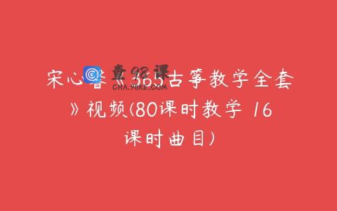 宋心馨《365古筝教学全套》视频(80课时教学 16课时曲目)