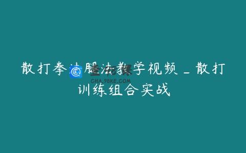 散打拳法腿法教学视频_散打训练组合实战