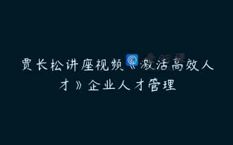 贾长松讲座视频《激活高效人才》企业人才管理