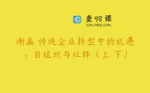 谢晶 传统企业转型中的机遇：自组织与社群（上 下）
