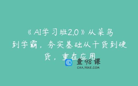 《AI学习班2.0》从菜鸟到学霸，夯实基础从干货到硬货，重在应用
