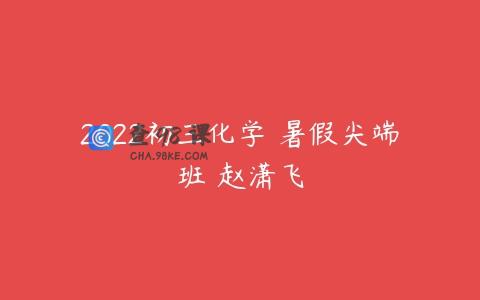 2022初三化学 暑假尖端班 赵潇飞