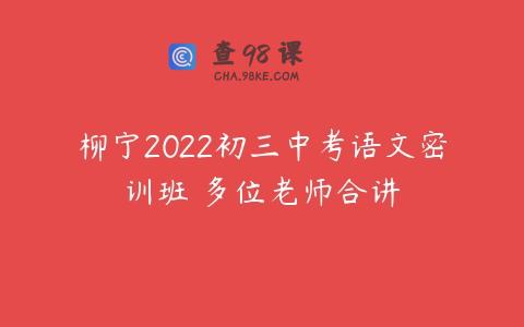 柳宁2022初三中考语文密训班 多位老师合讲
