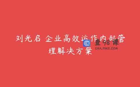刘光启 企业高效运作内部管理解决方案